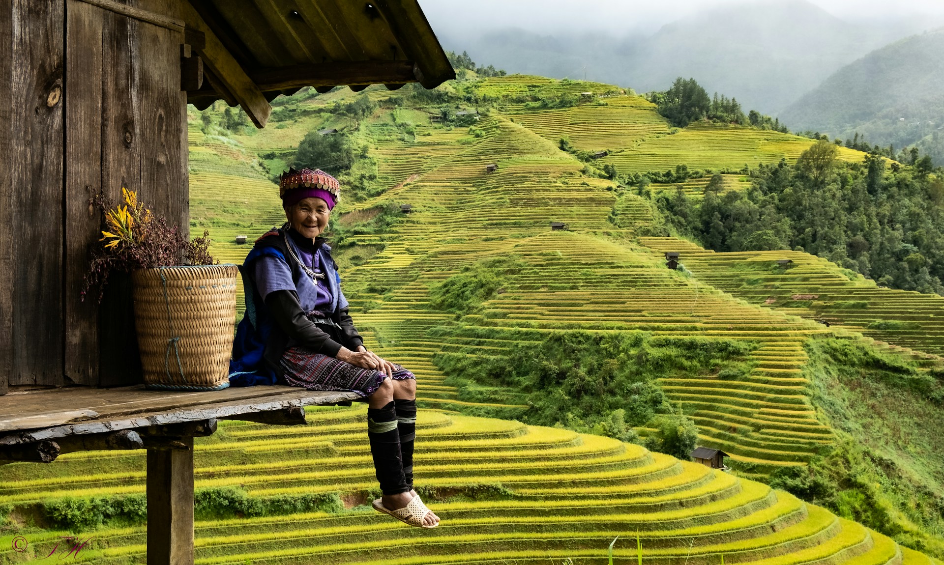 Femme vietnamienne en tenue traditionnelle, assise devant sa maison avec vue sur les rizières — symbole de voyage immersif et authentique